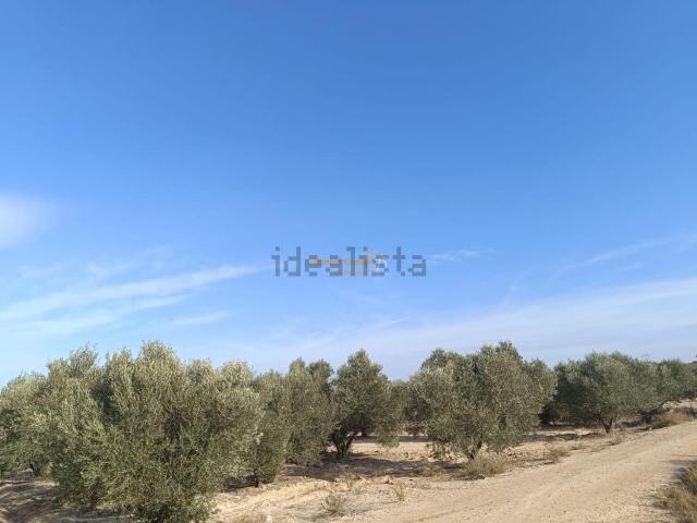 Terreno, Elche / Elx