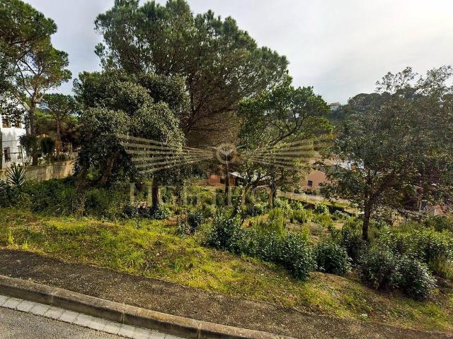 Terreno, Els Pinars, Lloret de Mar