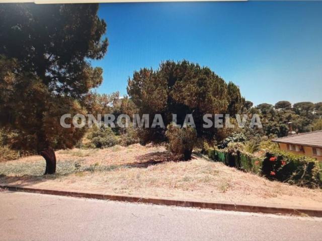 Terreno, Els Pinars, Lloret de Mar