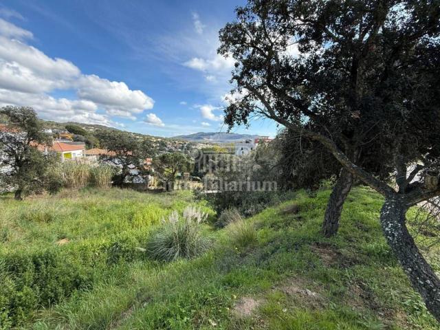 Terreno, Els Pinars, Lloret de Mar