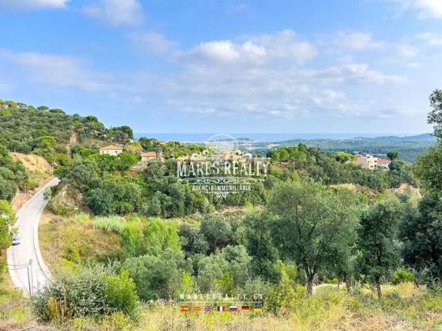 Terreno, Els Pinars, Lloret de Mar