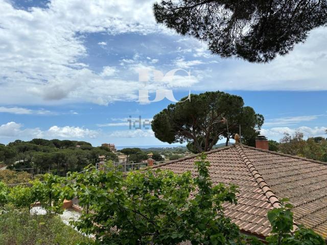 Terreno, Els Pinars, Lloret de Mar