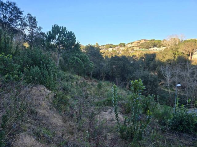 Terreno, Els Pinars, Lloret de Mar