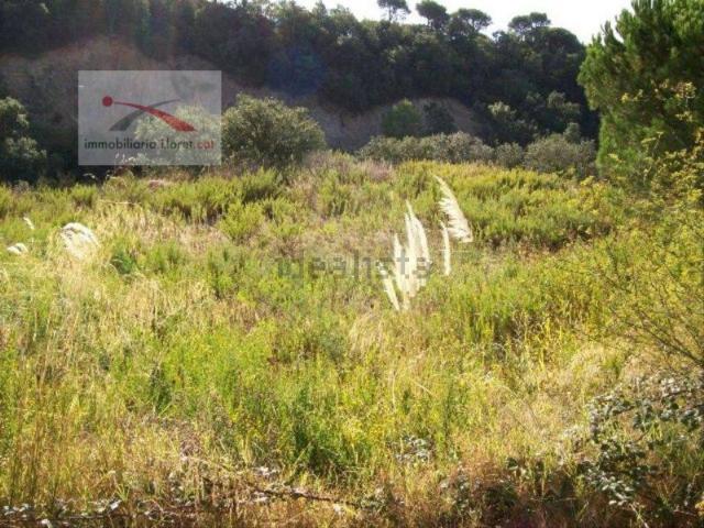 Terreno, Els Pinars, Lloret de Mar