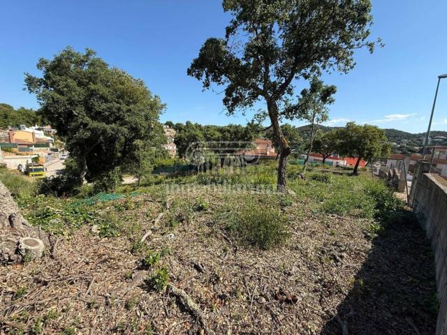 Terreno, Els Pinars, Lloret de Mar