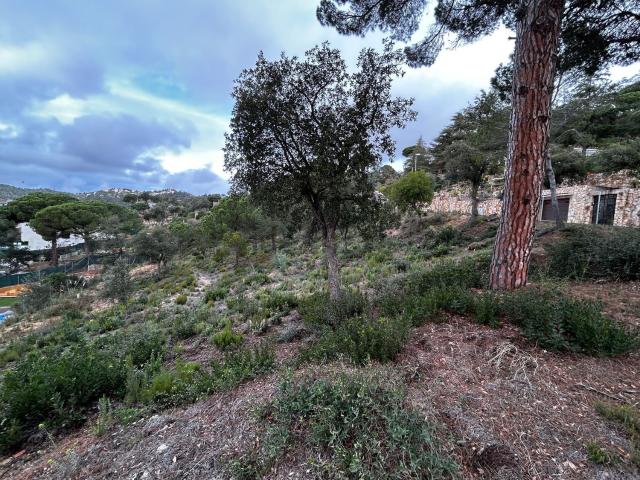Terreno, Els Pinars, Lloret de Mar
