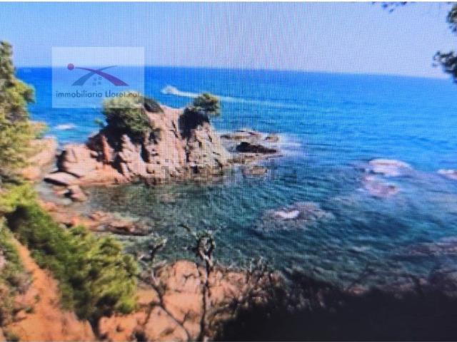 Terreno, Els Pinars, Lloret de Mar