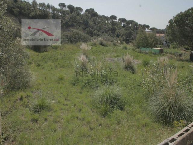 Terreno, Els Pinars, Lloret de Mar