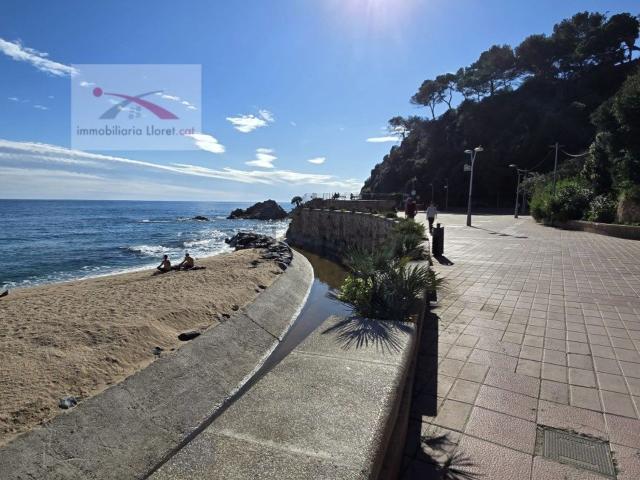 Terreno, Els Pinars, Lloret de Mar