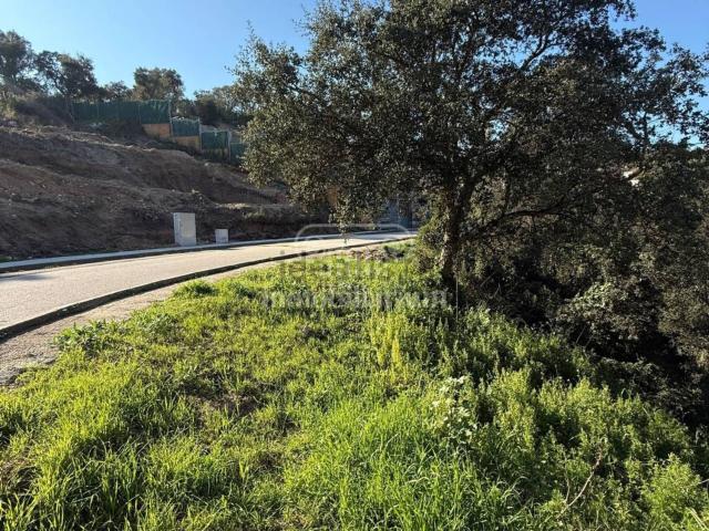 Terreno, Els Pinars, Lloret de Mar