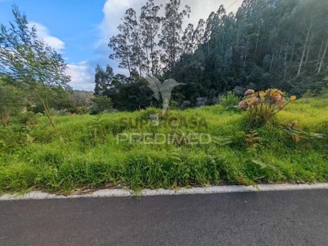 Terreno em Machico