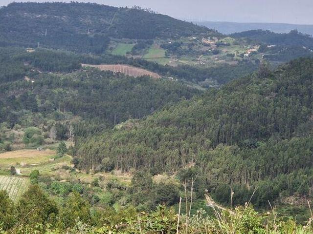 Terreno em Mafra de 8875,00 m²