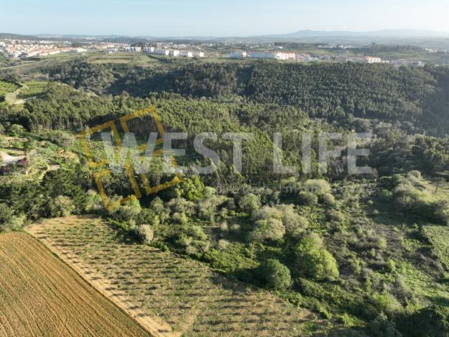 Terreno em Mafra Terreno Rústico com 3562m2 localizado em Sobreiro