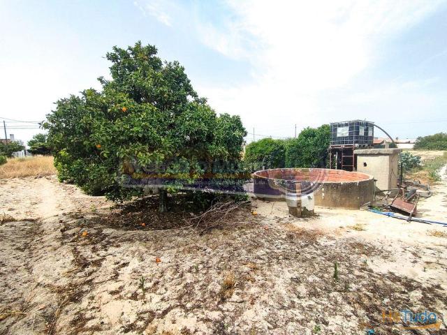 Terreno em Marinhais M583 | 26083992341