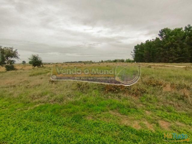 Terreno em Marinhais M615 | 26083992377