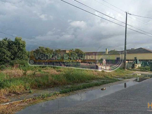 Terreno em Marinhais M752 | 26083928808