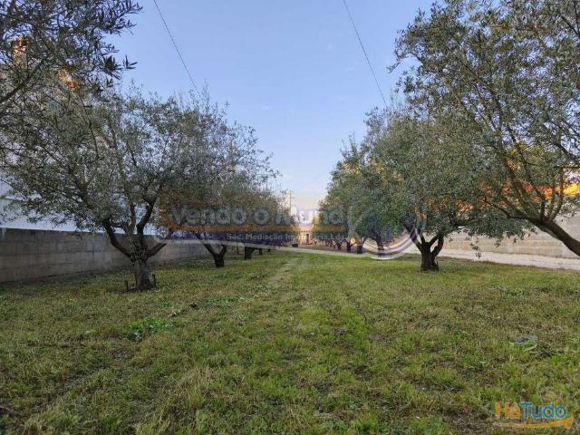 Terreno em Marinhais M812 | 26084080134