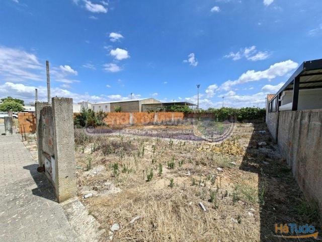 Terreno em Marinhais M829 | 26084095164