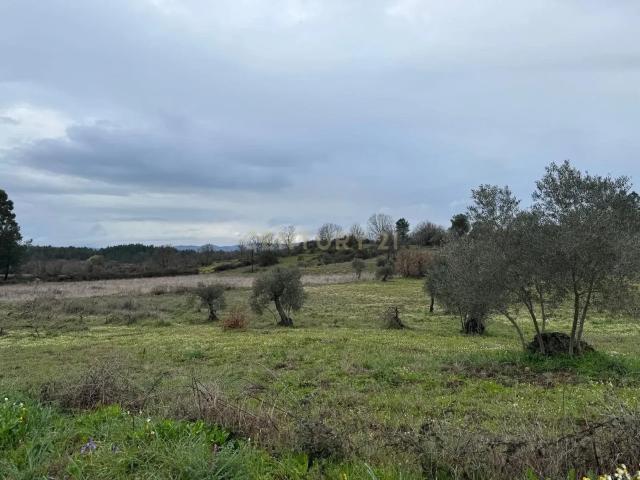Terreno em Meimoa, Penamacor