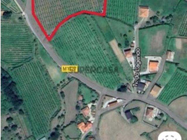 Terreno em Messegães, Valadares e Sá