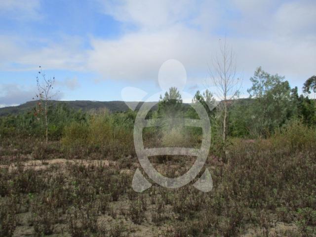 Terreno em Miranda do Corvo