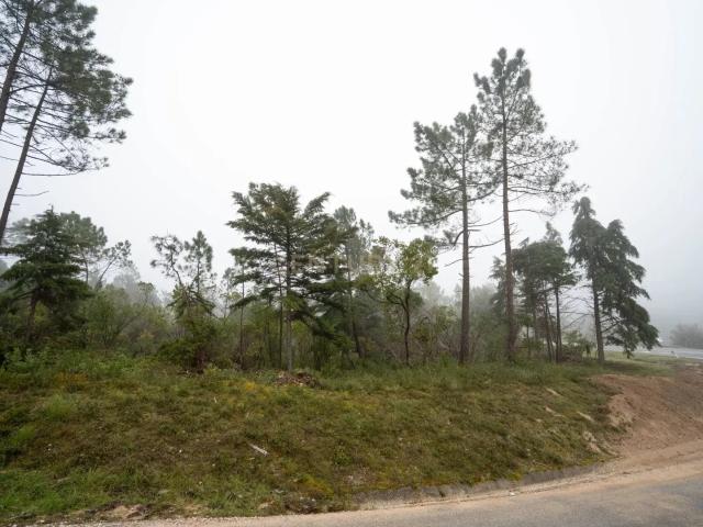 Terreno em Miranda do Corvo Oportunidade Única por 37.000€