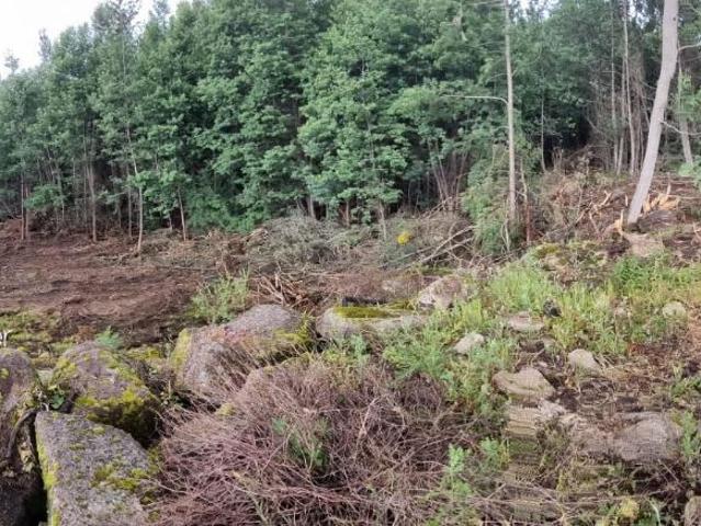 Terreno em Moimenta, Cabeceiras de Basto