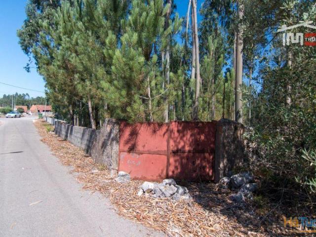 TERRENO EM MOITA DO MARTINHO A 5 MIN DE FÁTIMA | 26083351253