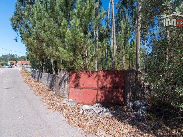 TERRENO EM MOITA DO MARTINHO A 5 MIN DE FÁTIMA