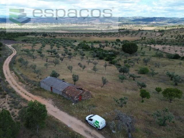 Terreno em Monte Fidalgo