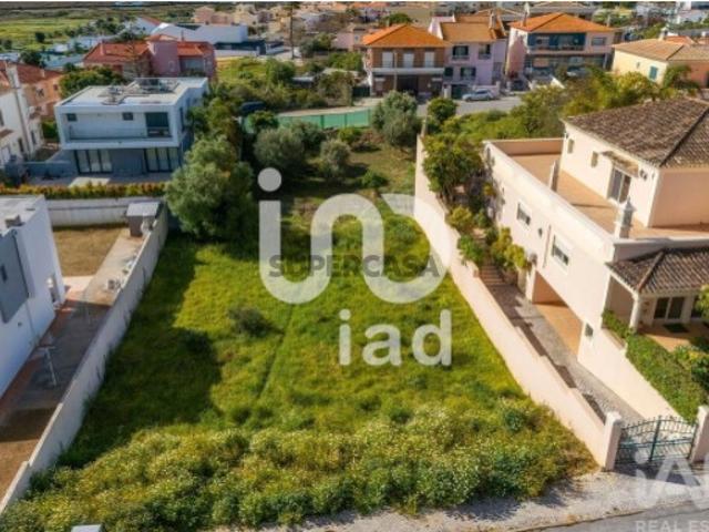 Terreno em Montenegro de 300,00 m²