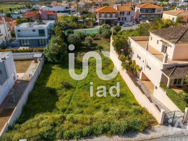 Terreno em Montenegro de 300,00 m²