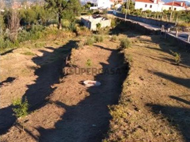 Terreno em Nogueira com viabilidade de construção
