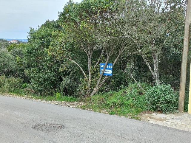 Terreno em Ourém