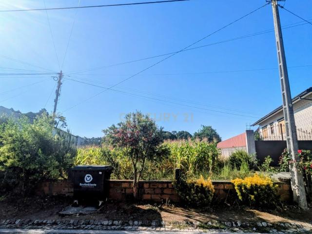 Terreno em Oliveira do Bairro