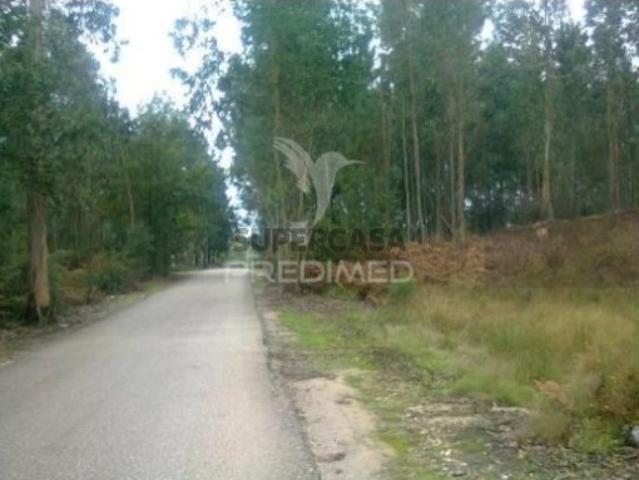 Terreno em Oliveira do Bairro