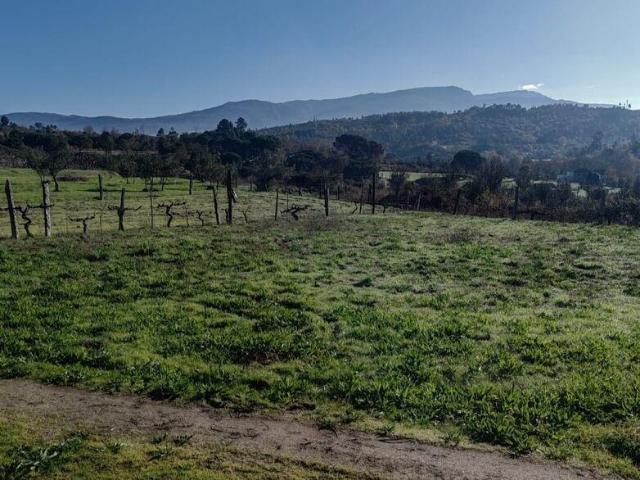 Terreno em Oliveira do Hospital e São Paio de Gramaços