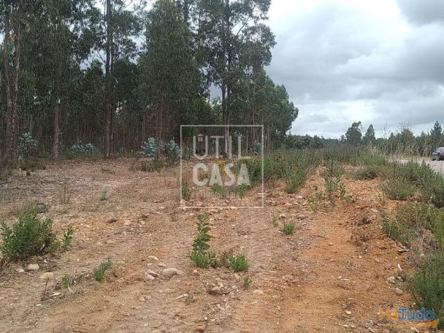Terreno em Ortiga Mação | 26083595114