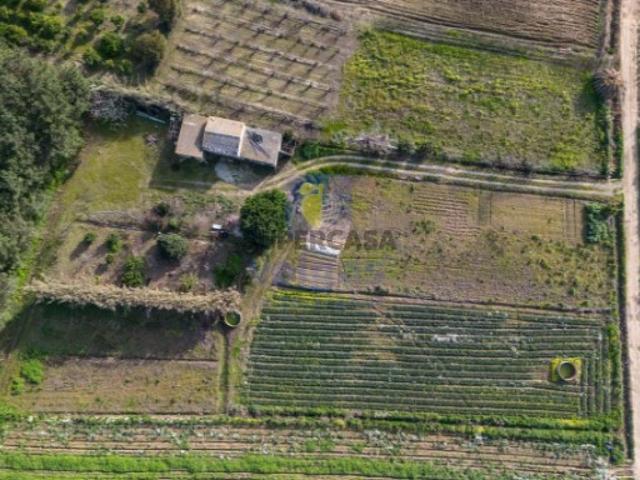 Não urbanizável em Atouguia da Baleia