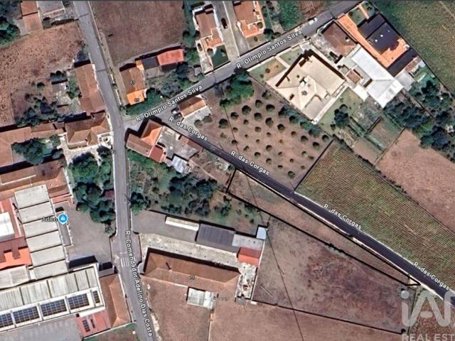 Terreno em Avanca