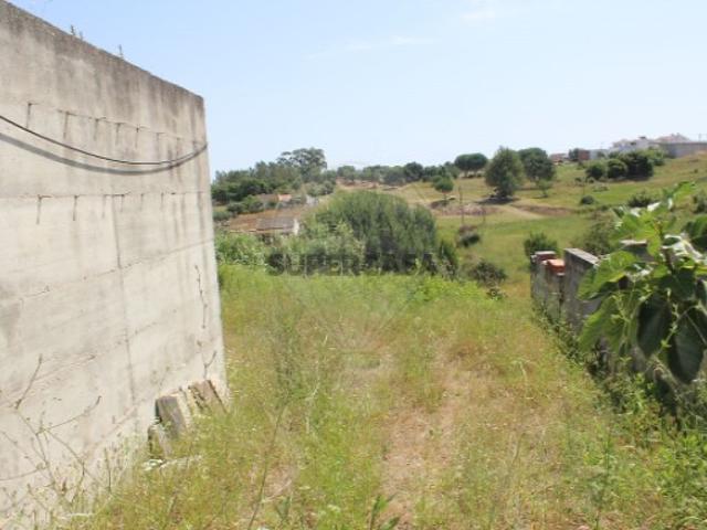 Terreno em Aveiras de Cima