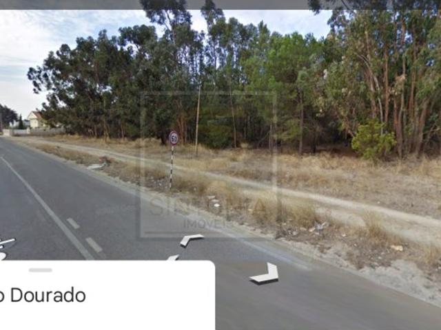Terreno em avos á entrada da Marisol