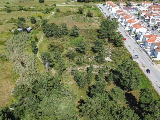 Terreno em Azeitão: Espaço Ideal para o seu Projeto dos Sonhos