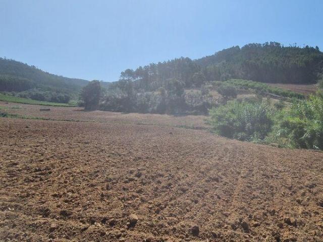 Terreno em Azueira e Sobral da Abelheira de 26562,00 m²