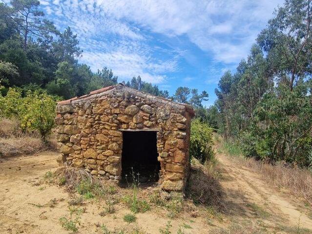 Terreno em Azueira e Sobral da Abelheira