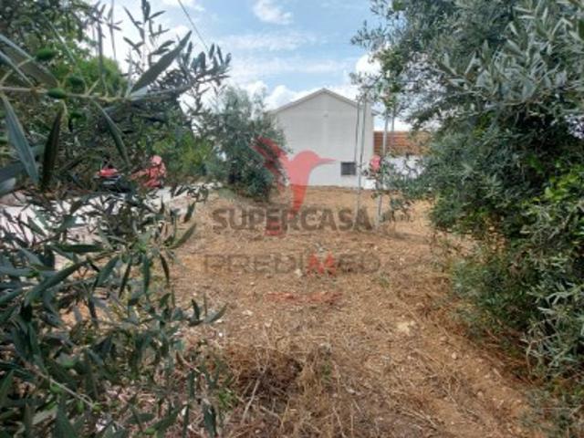 Terreno em Abitureiras