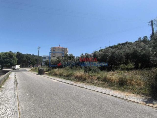 Terreno em Alcanena e Vila Moreira