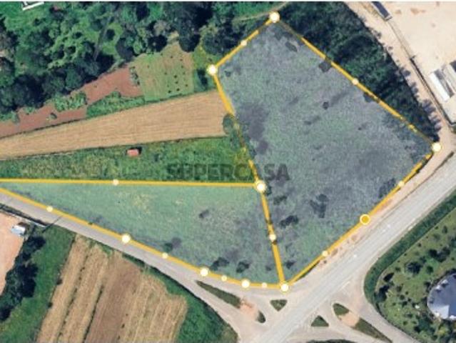 Terreno em Albergaria a Velha
