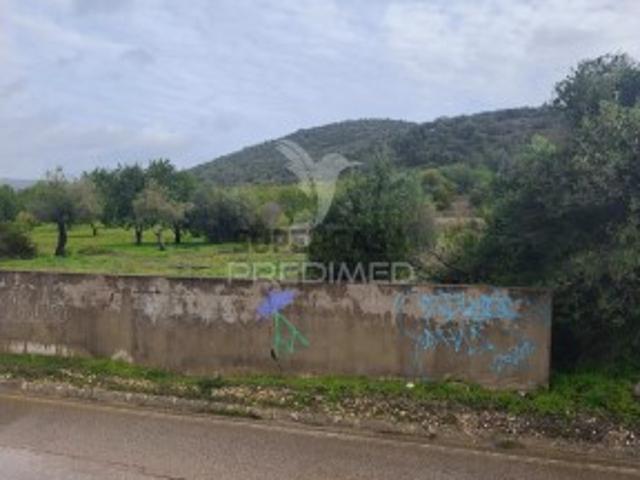 Terreno em Albufeira e Olhos de Água