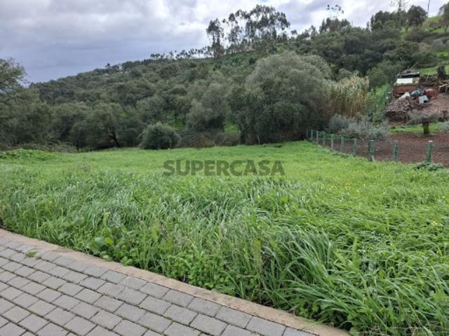 Terreno em Aldeia dos Chãos